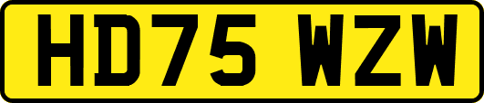 HD75WZW