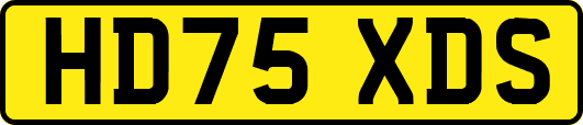 HD75XDS
