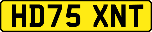 HD75XNT