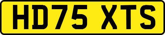 HD75XTS