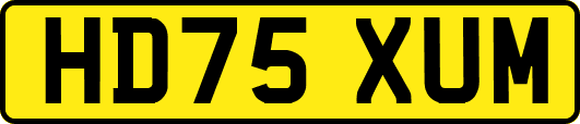 HD75XUM