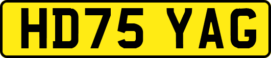 HD75YAG