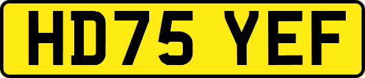 HD75YEF