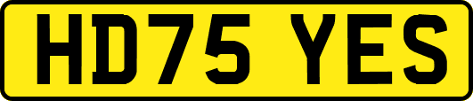 HD75YES