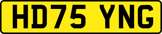 HD75YNG