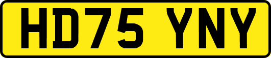 HD75YNY