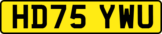HD75YWU