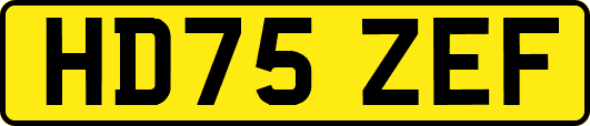 HD75ZEF