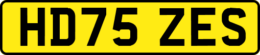 HD75ZES