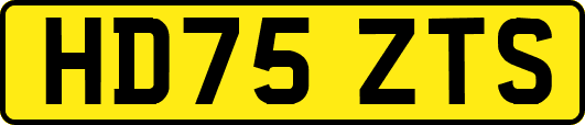 HD75ZTS