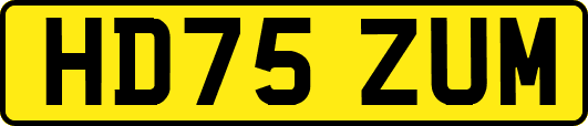 HD75ZUM