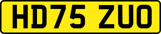 HD75ZUO