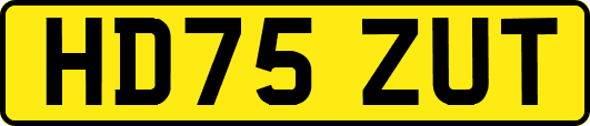 HD75ZUT