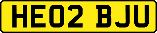 HE02BJU