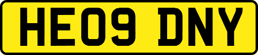 HE09DNY