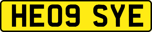 HE09SYE