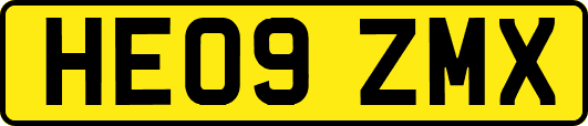 HE09ZMX