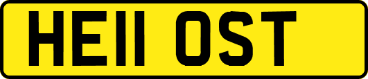 HE11OST