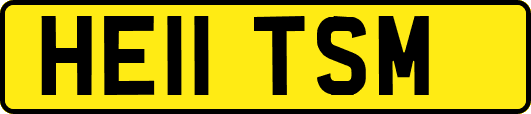 HE11TSM