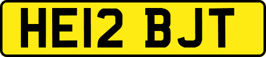 HE12BJT