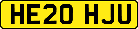 HE20HJU