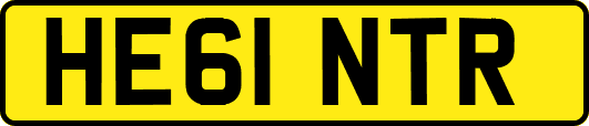 HE61NTR