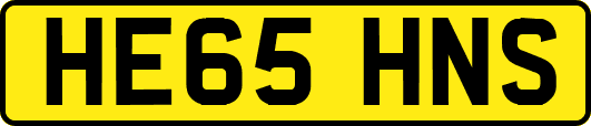 HE65HNS