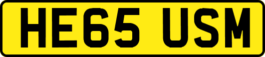 HE65USM