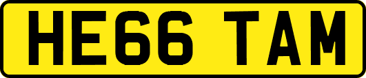 HE66TAM