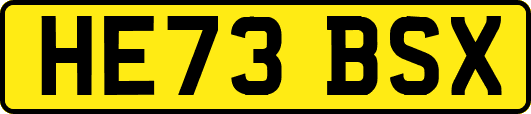 HE73BSX