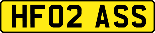 HF02ASS