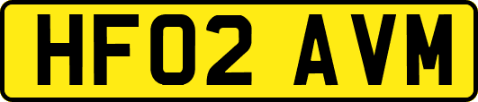 HF02AVM