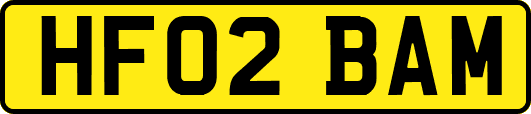 HF02BAM