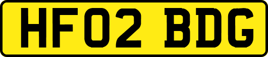 HF02BDG