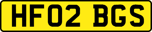 HF02BGS