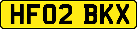 HF02BKX