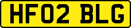 HF02BLG