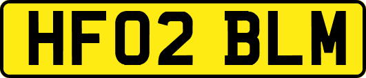 HF02BLM