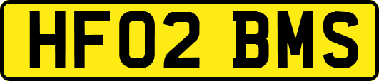 HF02BMS