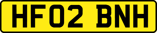 HF02BNH
