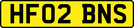 HF02BNS