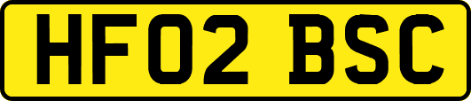 HF02BSC
