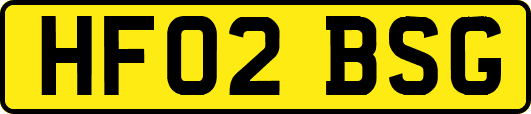 HF02BSG