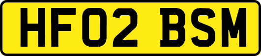 HF02BSM