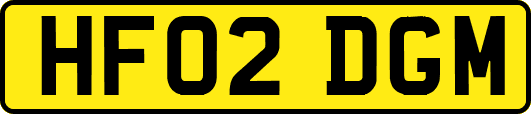 HF02DGM