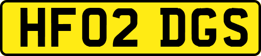 HF02DGS