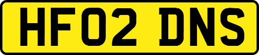 HF02DNS