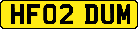HF02DUM