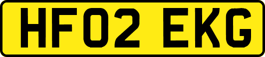 HF02EKG