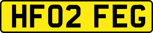 HF02FEG